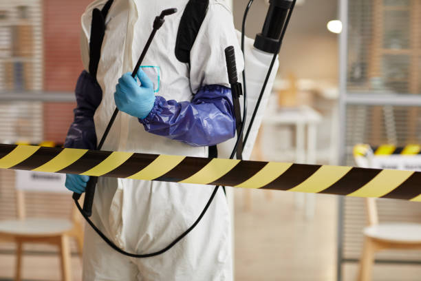 Professional Sewage Cleanup technician working in Shelby, IA